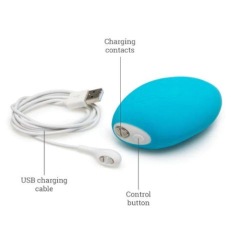 We Vibe Wish Pool Blue Charger and Information